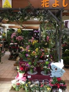 ２０１７年の初ブログ 花屋ブログ 兵庫県丹波市の花屋 足立花義にフラワーギフトはお任せください 当店は 安心と信頼の花キューピット加盟店です 花キューピットタウン