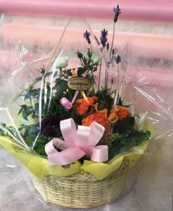 花鉢「足立花義」（兵庫県丹波市の花屋）のギャラリー写真