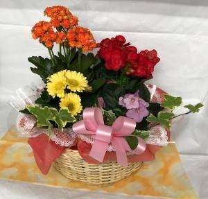 お届けのカゴアレンジ「足立花義」（兵庫県丹波市の花屋）のギャラリー写真