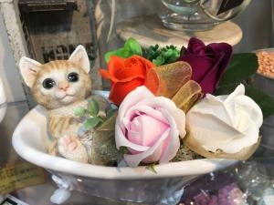 バスタブのネコちゃん|「足立花義」　（兵庫県丹波市の花屋）のブログ