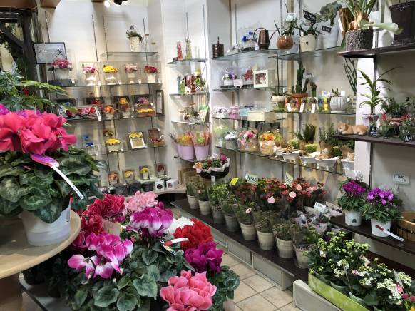 兵庫県丹波市の花屋 足立花義にフラワーギフトはお任せください 当店は 安心と信頼の花キューピット加盟店です 花キューピットタウン